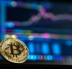 The analyst explains the reasons for the recent fluctuations in the bitcoin rate