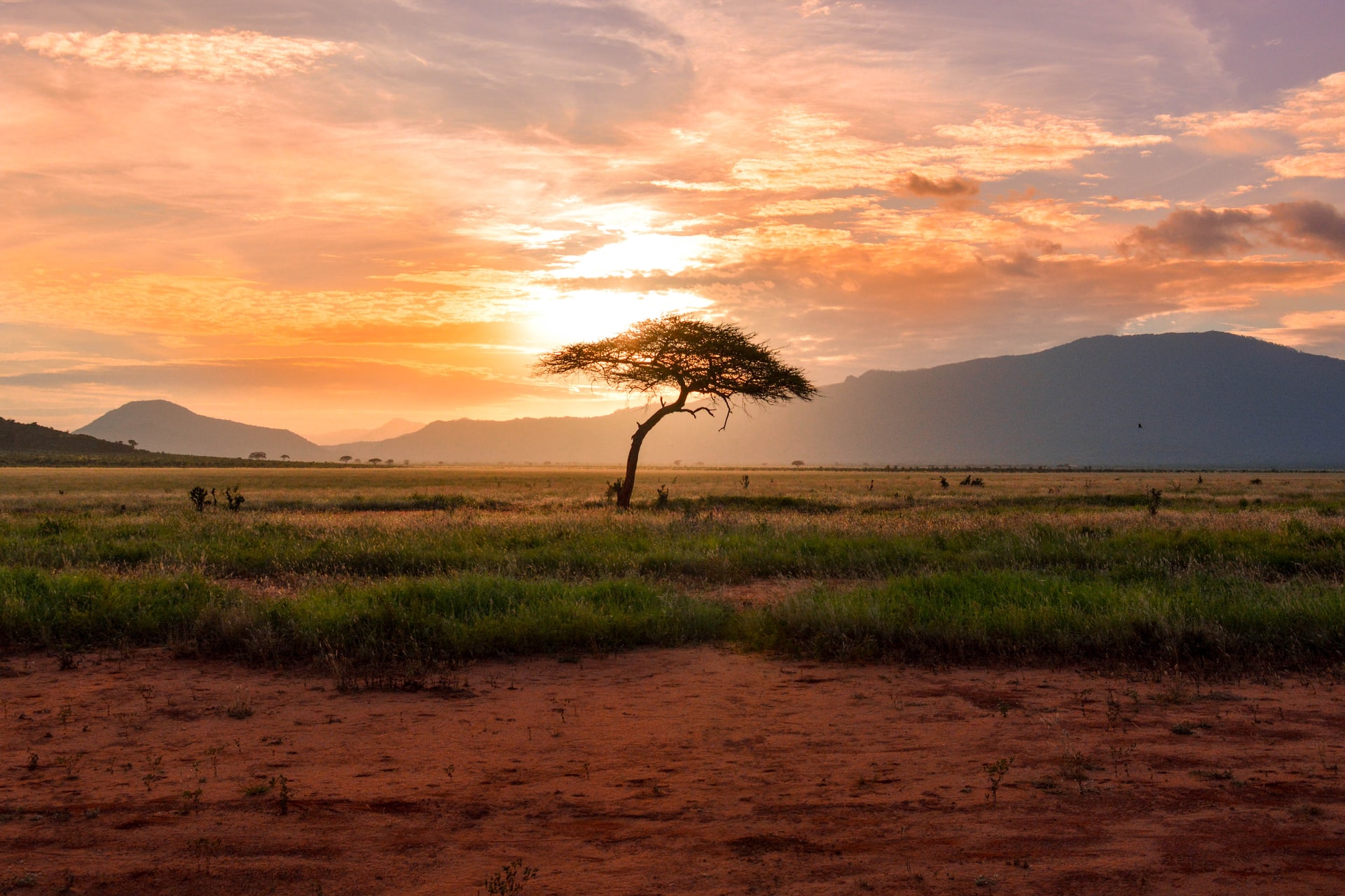 South Africa Changes Government Cryptocurrency Policy Towards Recognition and Regulation South Africa Changes Government Cryptocurrency Policy Towards Recognition and Regulation