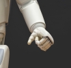 Expert Advisor Robot: a new opportunity to trade cryptocurrency