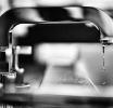 Multicurrency Cryptocurrency Faucets: The Landscape in 2024