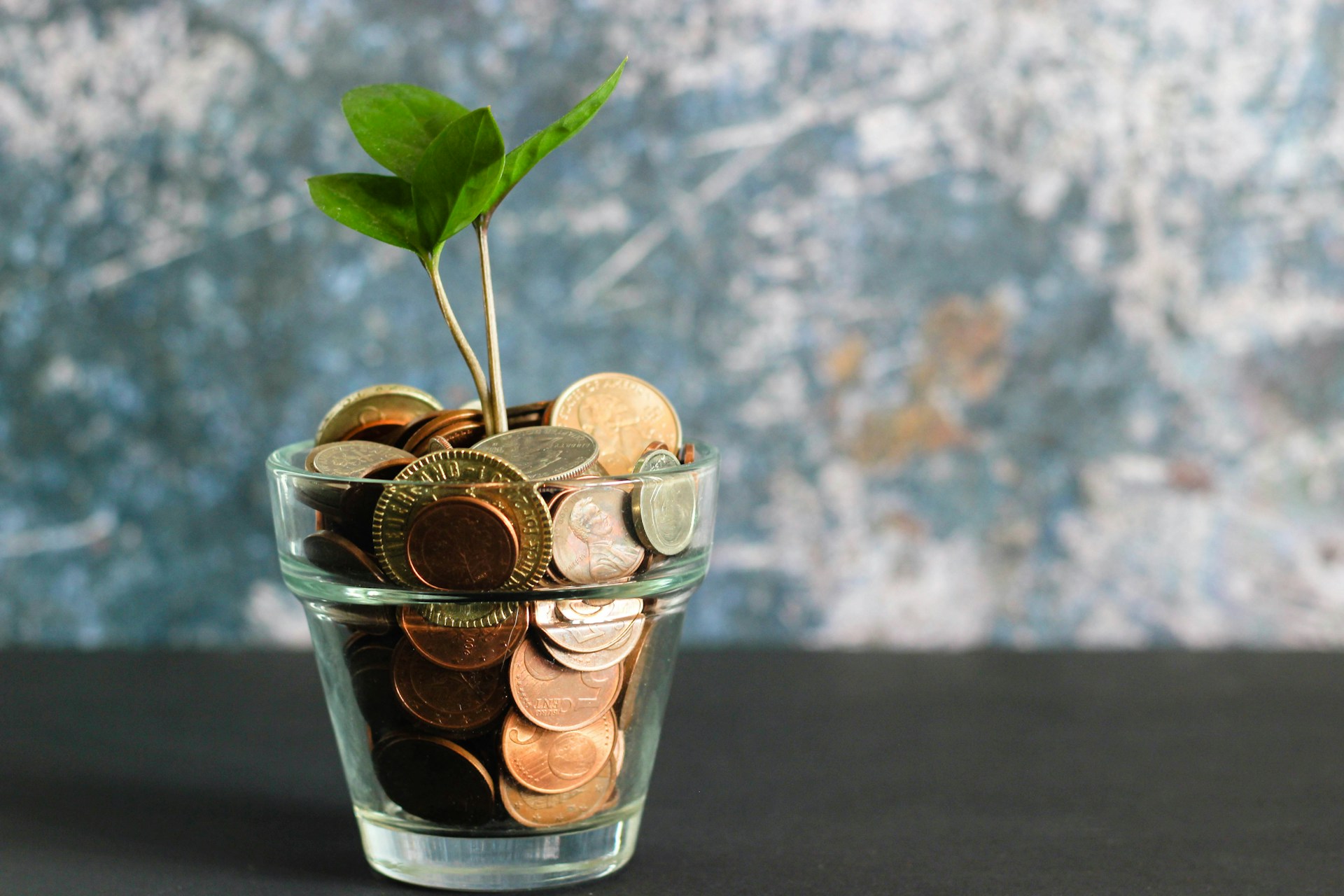 Binary Options: A Path to Capital Growth Binary Options: A Path to Capital Growth