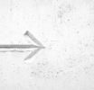 White Label Broker in Forex: What Is It and How to Start?