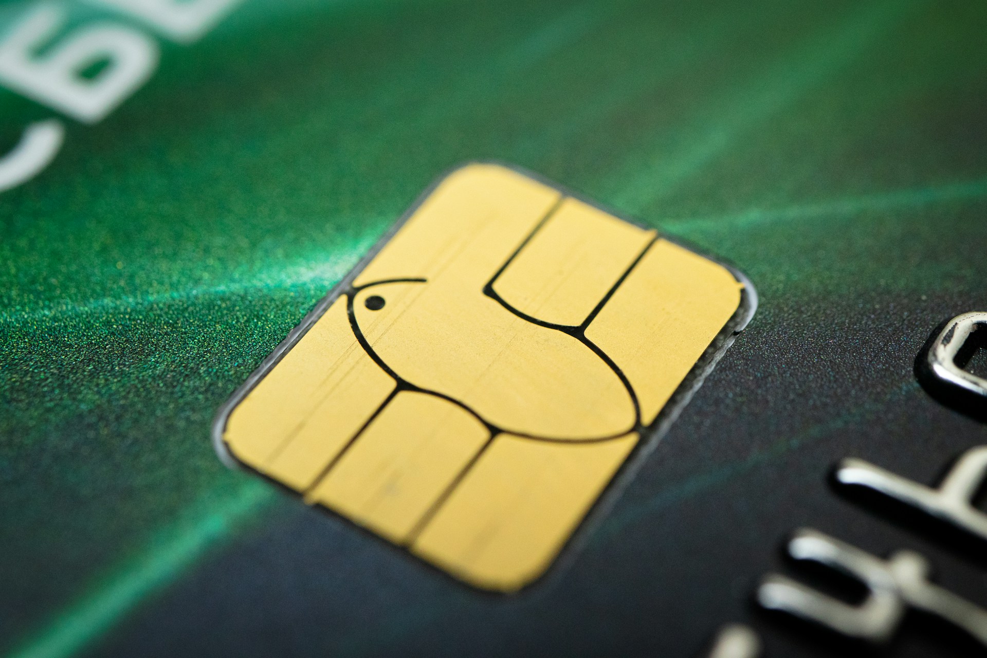 Coinbase Exchange Account Set to Replace Traditional Bank Cards Over Time Coinbase Exchange Account Set to Replace Traditional Bank Cards Over Time