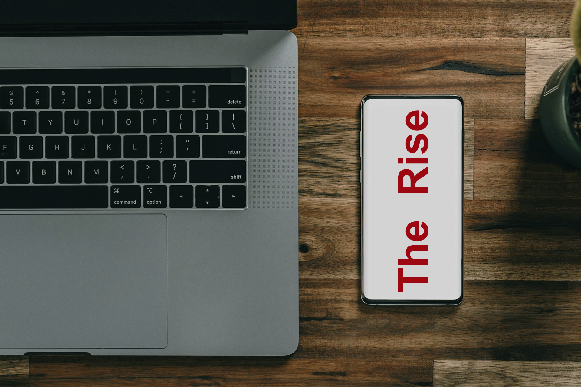 The Rise of Grey Label Providers in Borderless Business