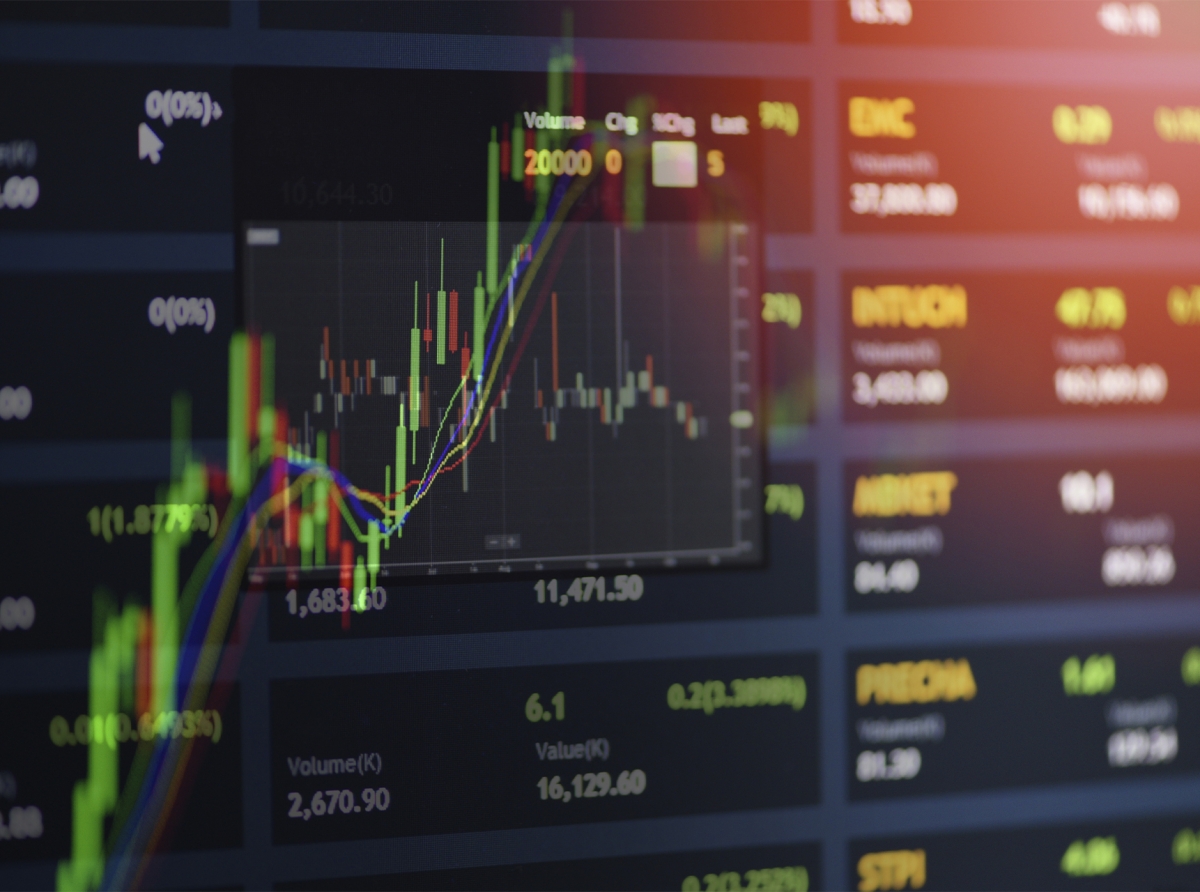 Understanding the Role of an Investment Manager