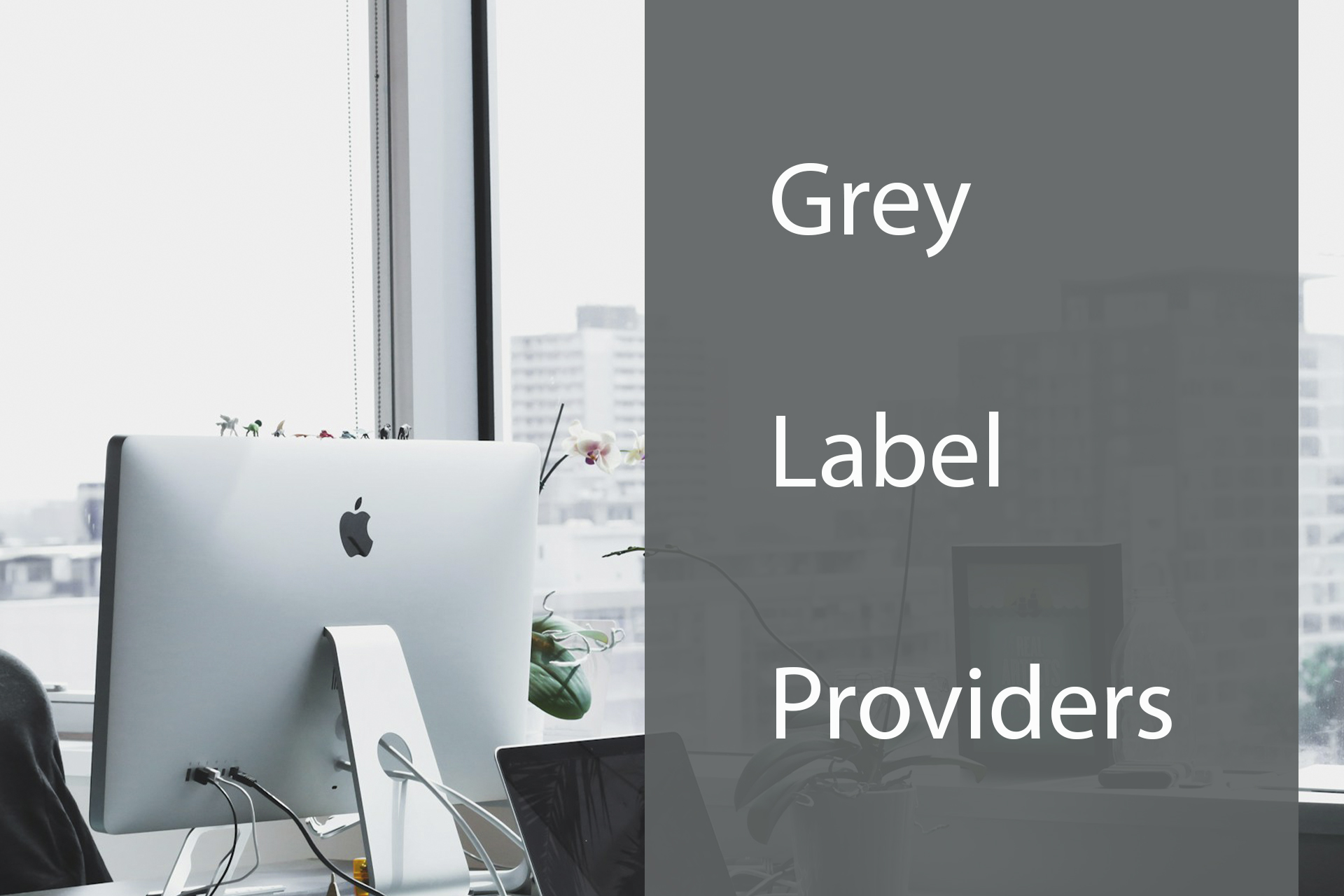 Grey Label Providers: Innovative Solutions for Your Business Grey Label Providers: Innovative Solutions for Your Business