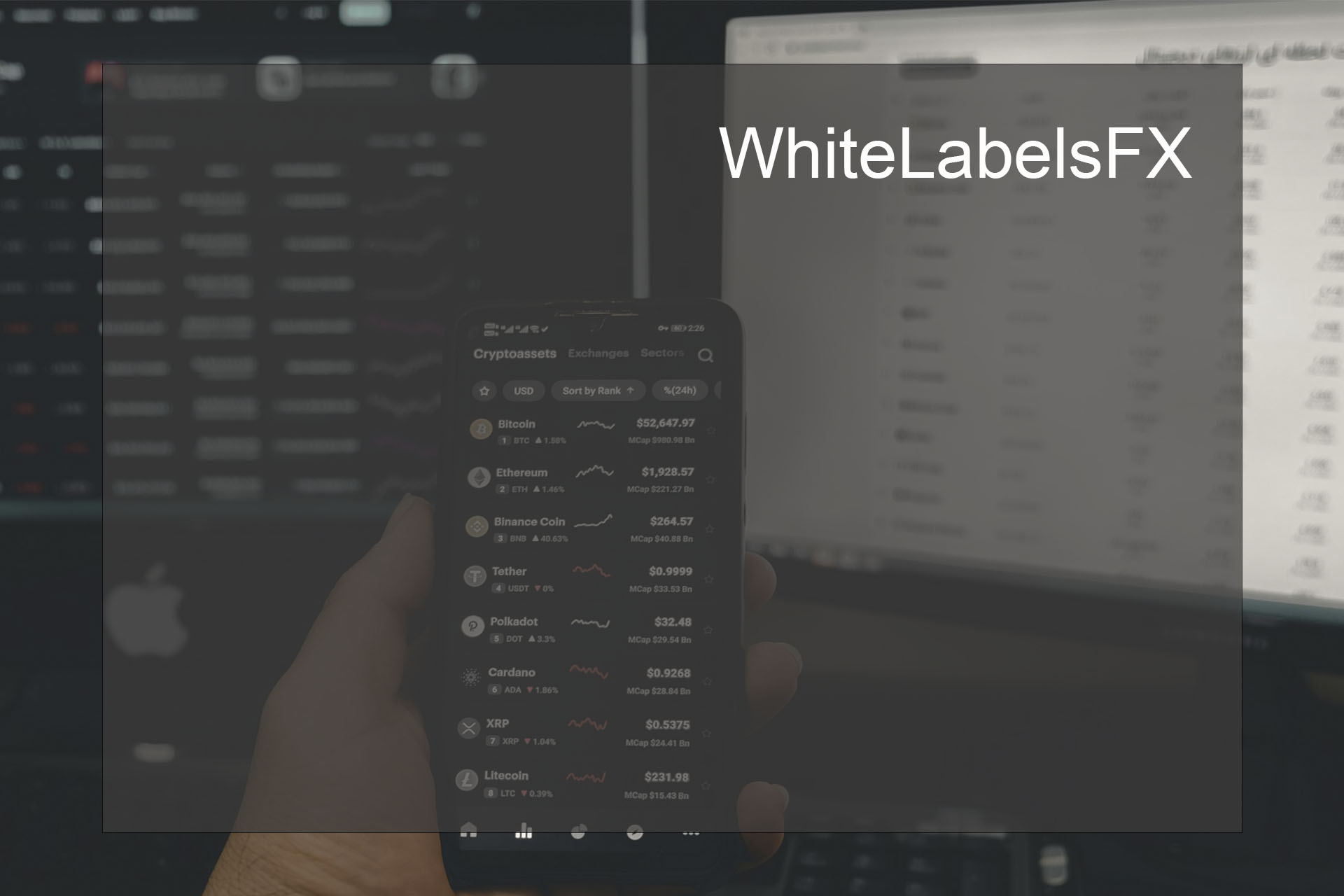 The Advantages of Using WhiteLabelsFX in Forex Trading The Advantages of Using WhiteLabelsFX in Forex Trading