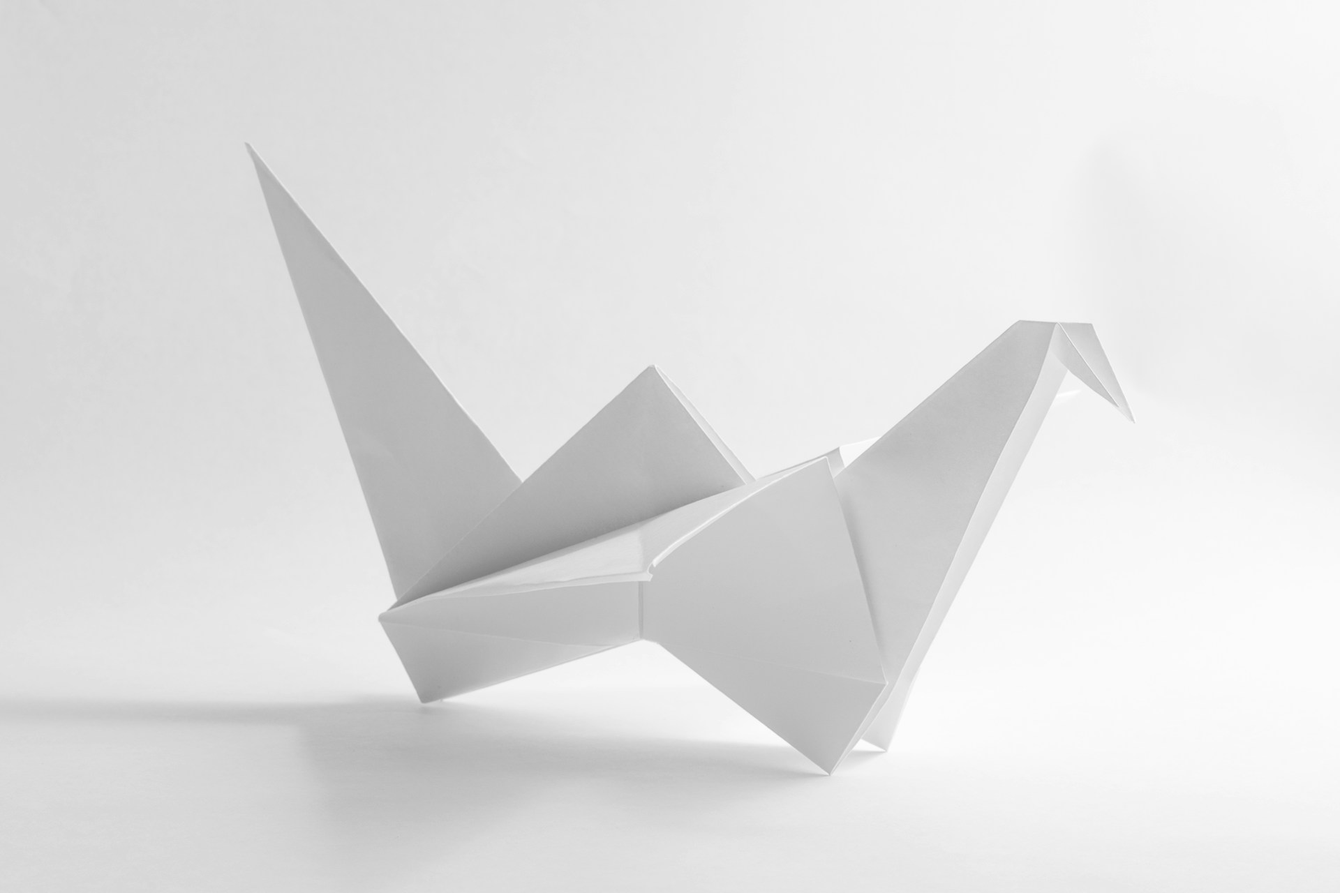 Understanding Paper Profit in Forex Trading: What Is It and How Does It Work? Understanding Paper Profit in Forex Trading: What Is It and How Does It Work?