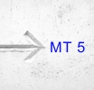 White Label MetaTrader 5 (MT5) - Assess Your Trading Level
