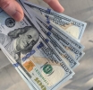 Who Needs Forex Broker Services?