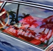 The Promise of Instant Wealth in Days: What’s Really Behind It?