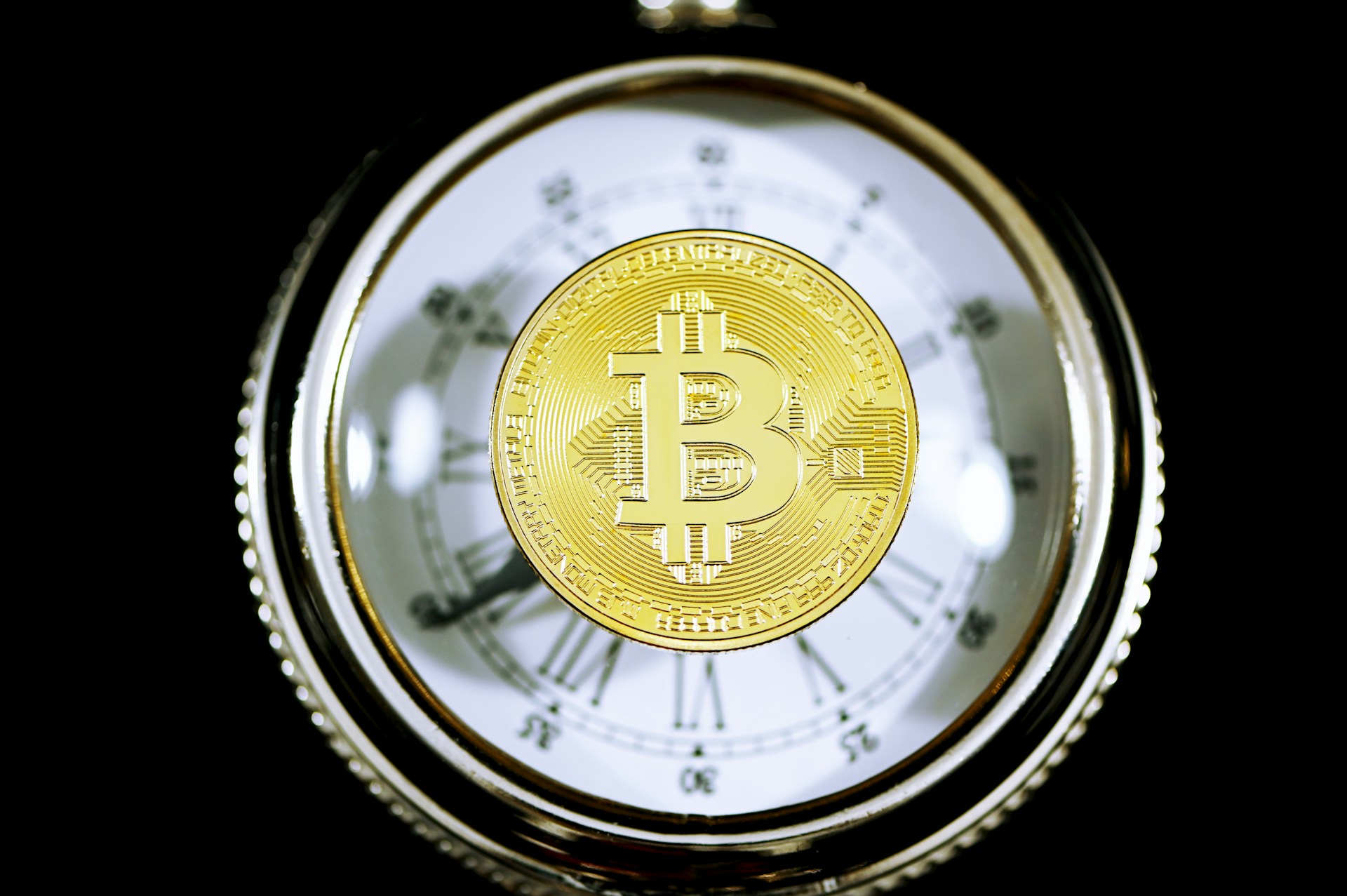 A Quarter of S&P 500 Companies Will Own Bitcoin by 2030 A Quarter of S&P 500 Companies Will Own Bitcoin by 2030
