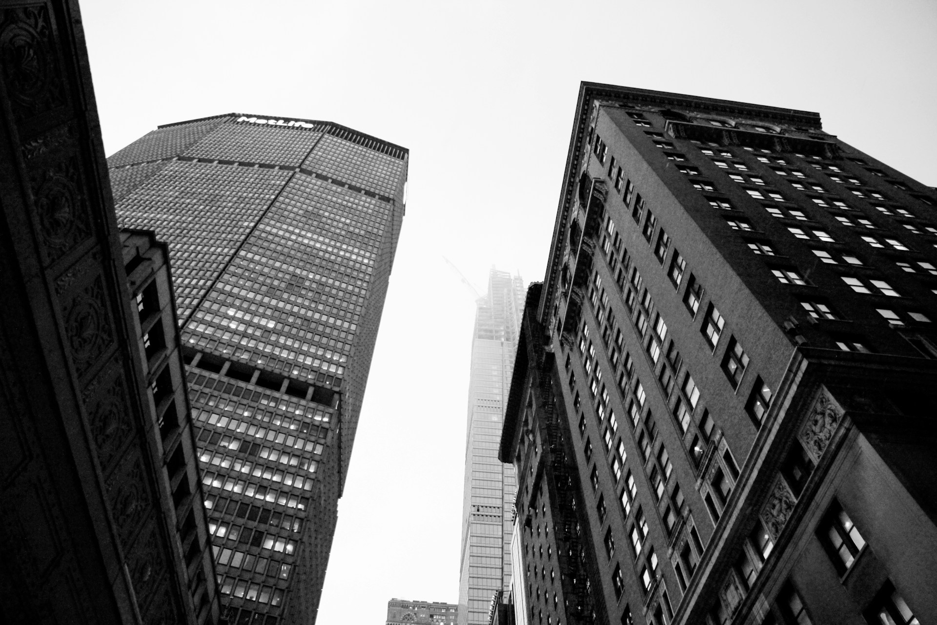 Turnkey Brokerage: The Fast Track to Forex Success