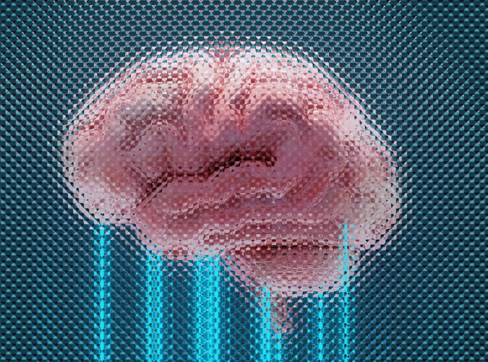 Your Brain on Charts: How Cognitive Bias Affects Your Trades