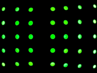 MT4 vs MT5 in Account Management: Which MAM Plugin to Choose—And Why It’s Not Just a Marketing Question