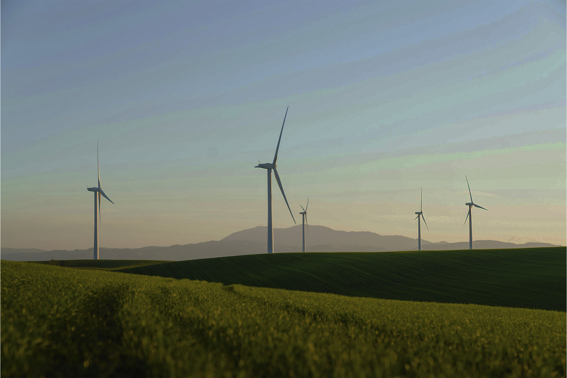 Green Energy Stocks: The Future of Sustainable Investing