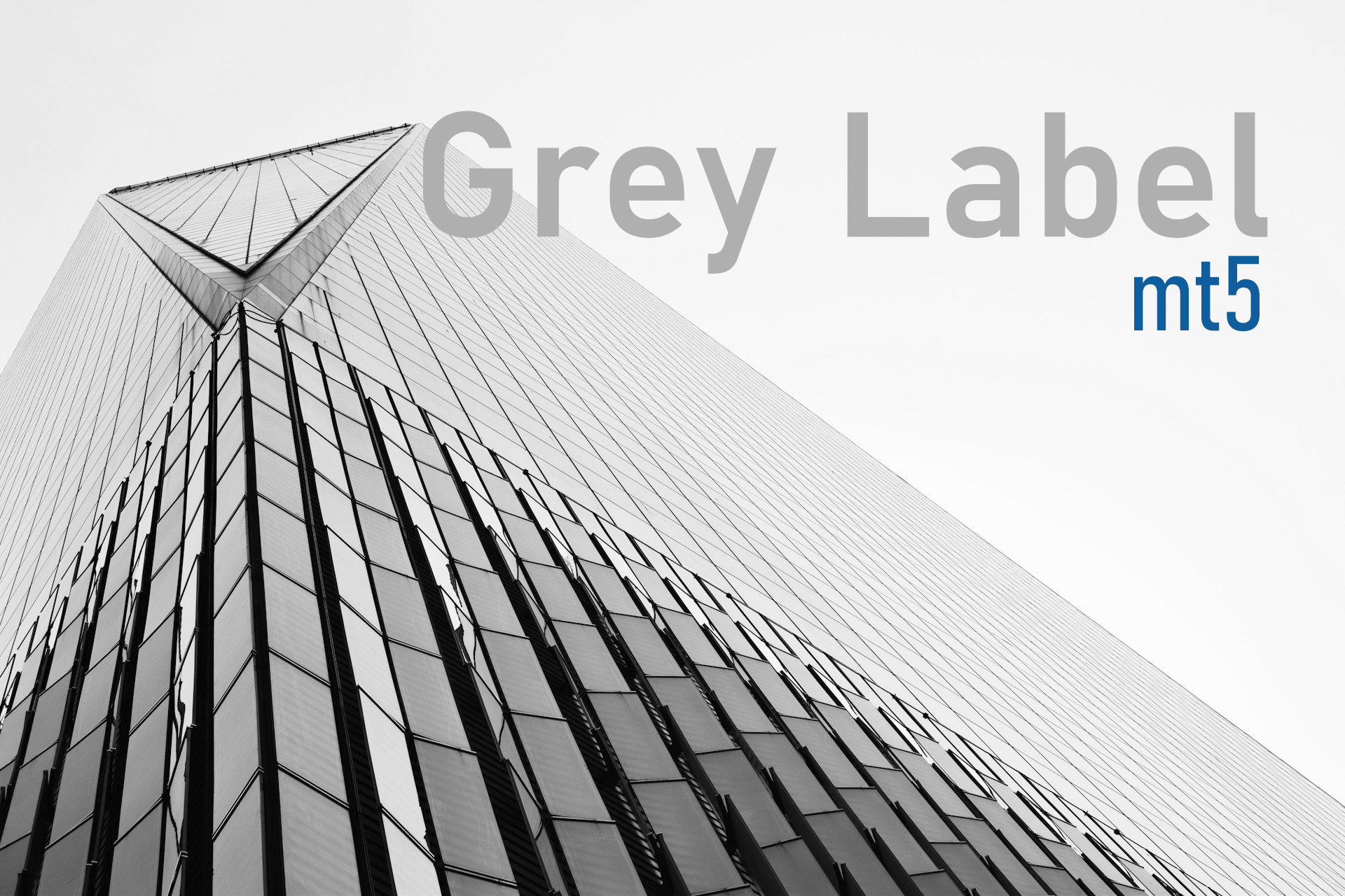MT5 Grey Label: Balancing Flexibility and Control in Brokerage MT5 Grey Label: Balancing Flexibility and Control in Brokerage