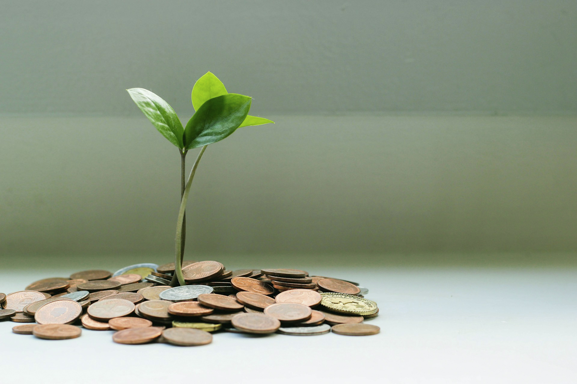 Investing in Mutual Funds: A Beginner’s Guide
