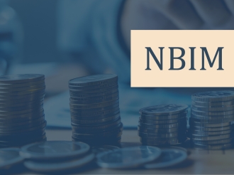 NBIM Excludes Caterpillar and Five Israeli Banks Over Human Rights Concerns