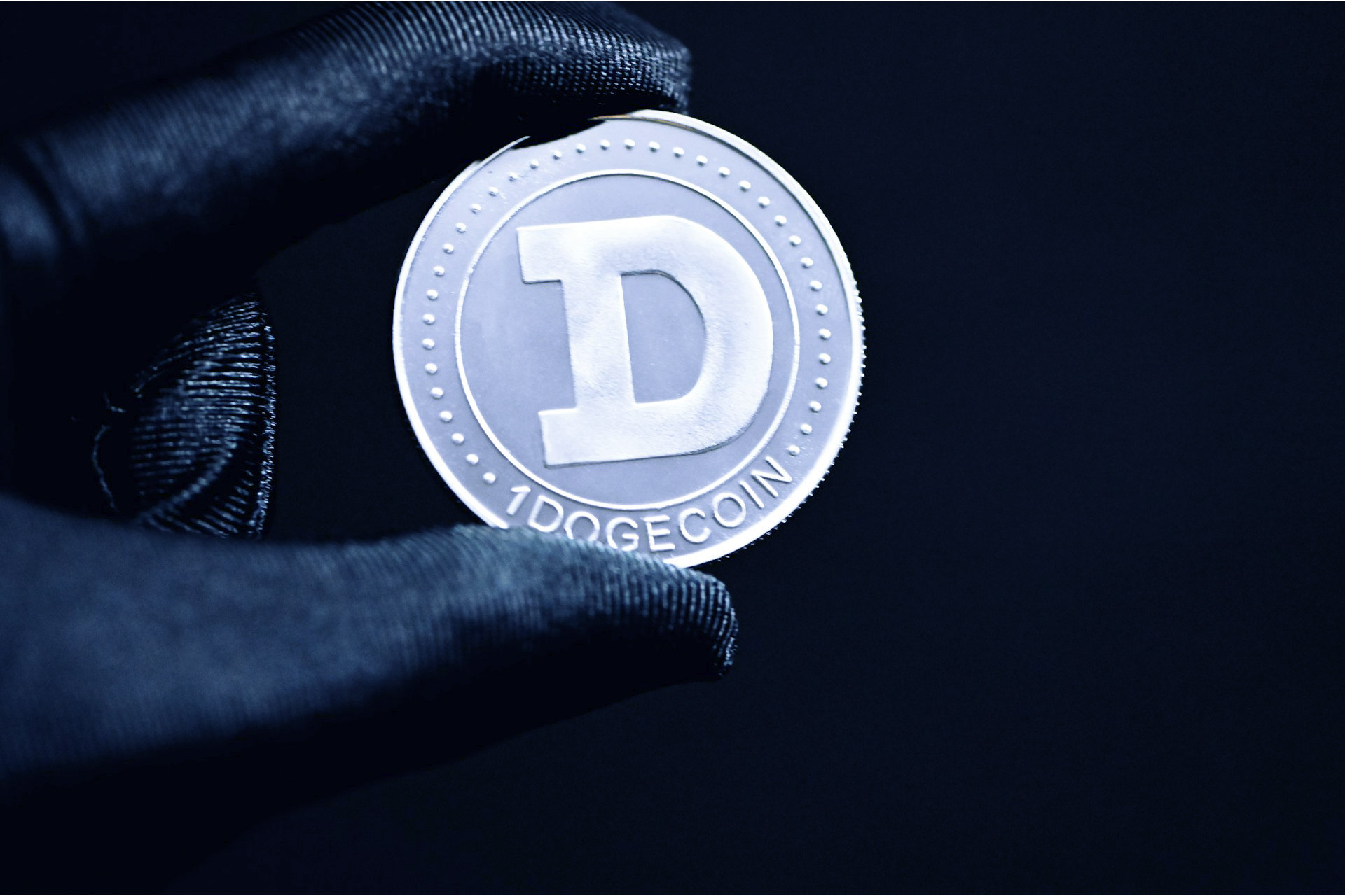 Elon Musk and Dogecoin - $200 million investment fund