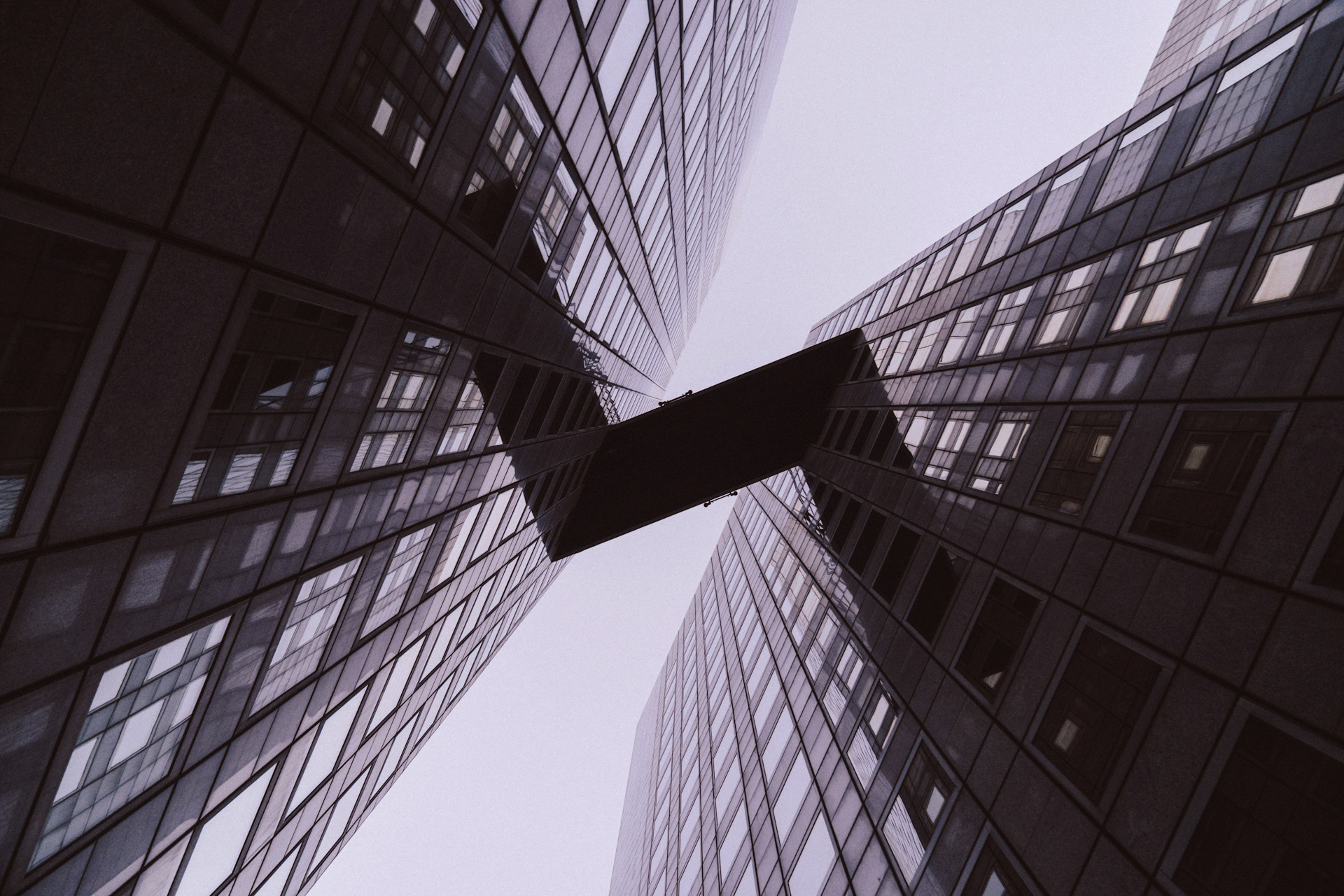 Forex Leverage: A Tool for Growth or an Accelerator of Collapse?