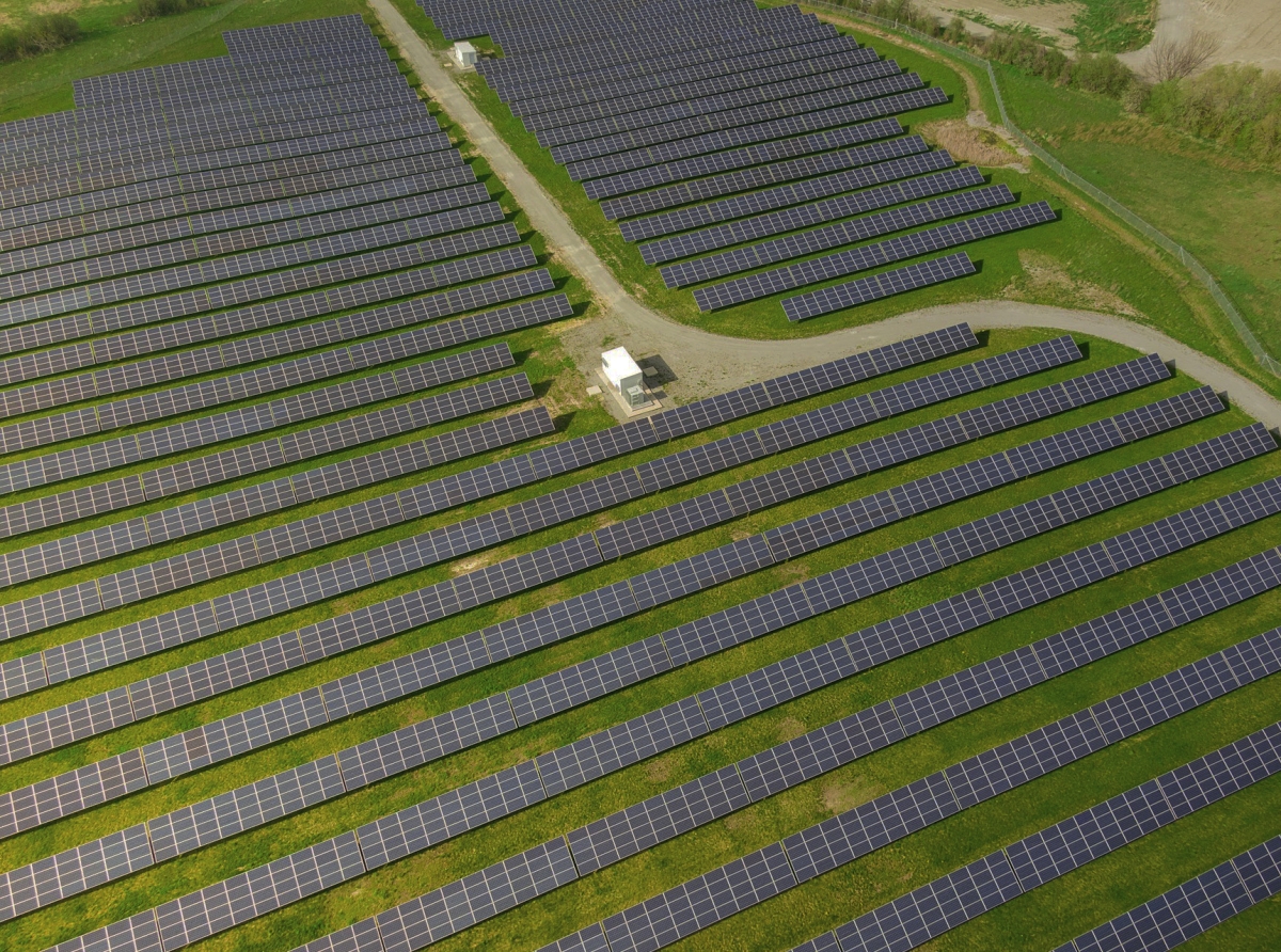 ESG Factors in Forex: Green Strategies for Sustainable Profits