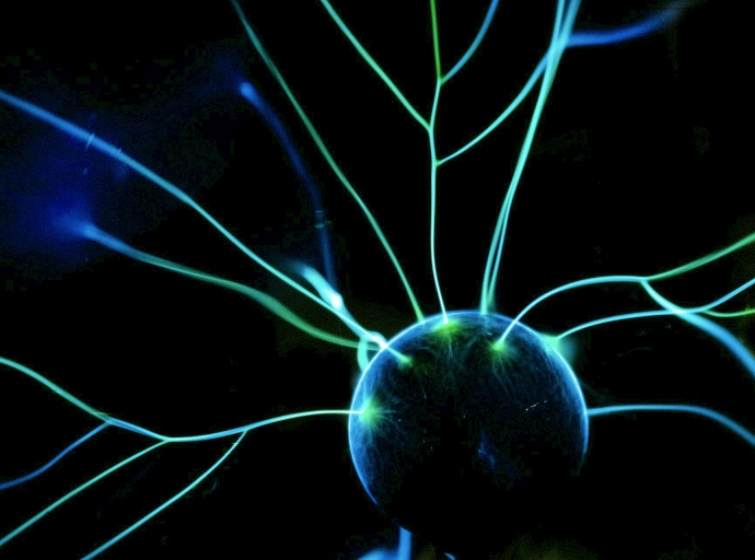 Forex and Neurons: How the Trader's Brain Hacks Itself