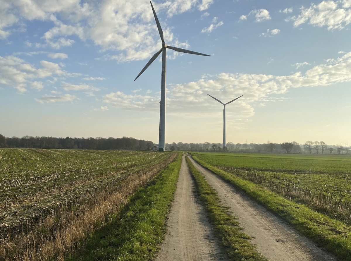 Eco-Gateways for Forex: Green, Carbon-Free Trading