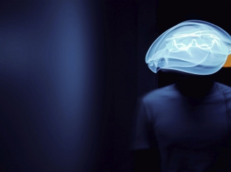 What Brain Scans Reveal About Trading, Risk, and Addiction