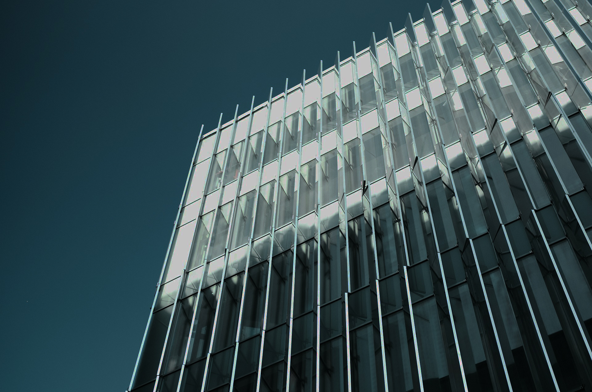 From Partner to Leader: How White Label Providers Help Brokers Build Trust and Brand Recognition From Partner to Leader: How White Label Providers Help Brokers Build Trust and Brand Recognition