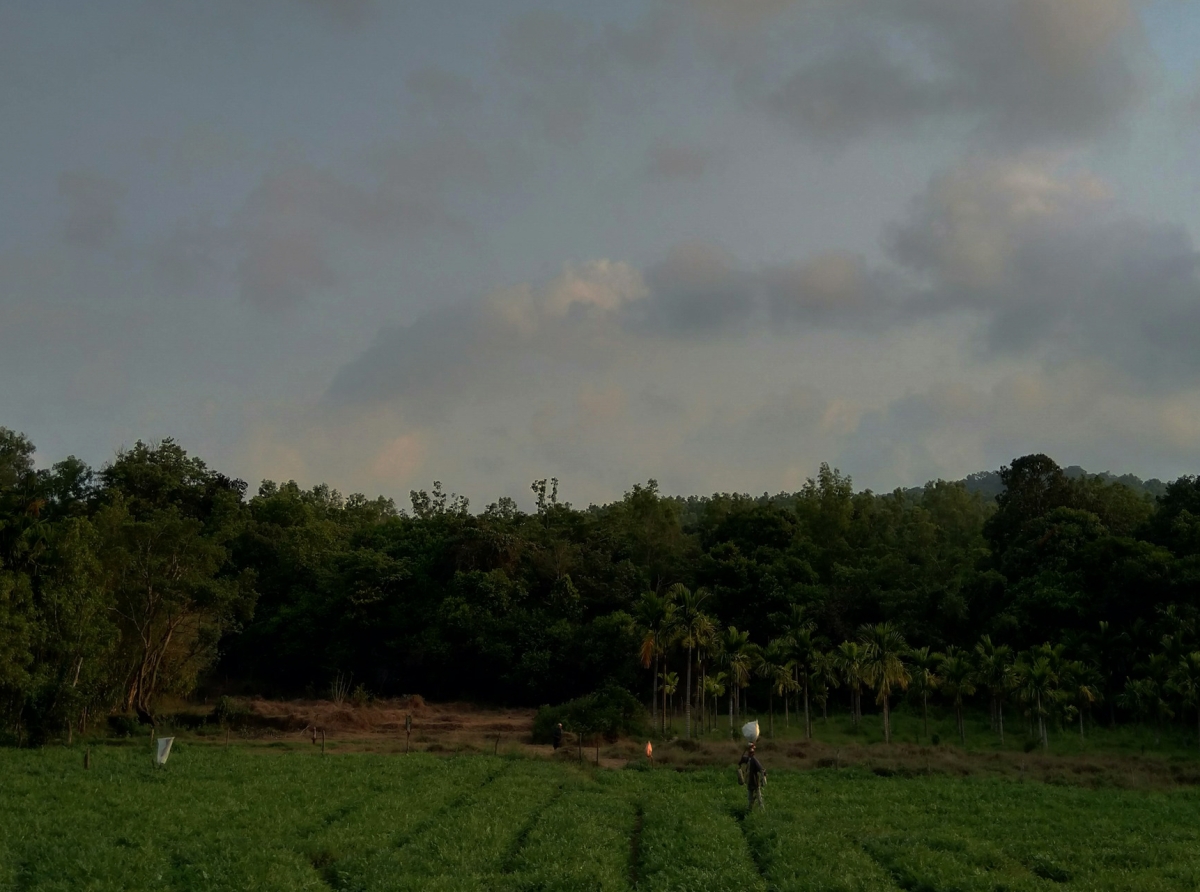 US-India Trade Deal at Risk: 5 Major Obstacles That Could Derail the $500B Agreement