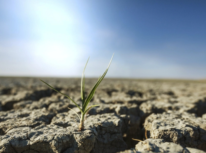 Fertilizer Supply Shock 2026: How the Iran Conflict Threatens Global Food Security