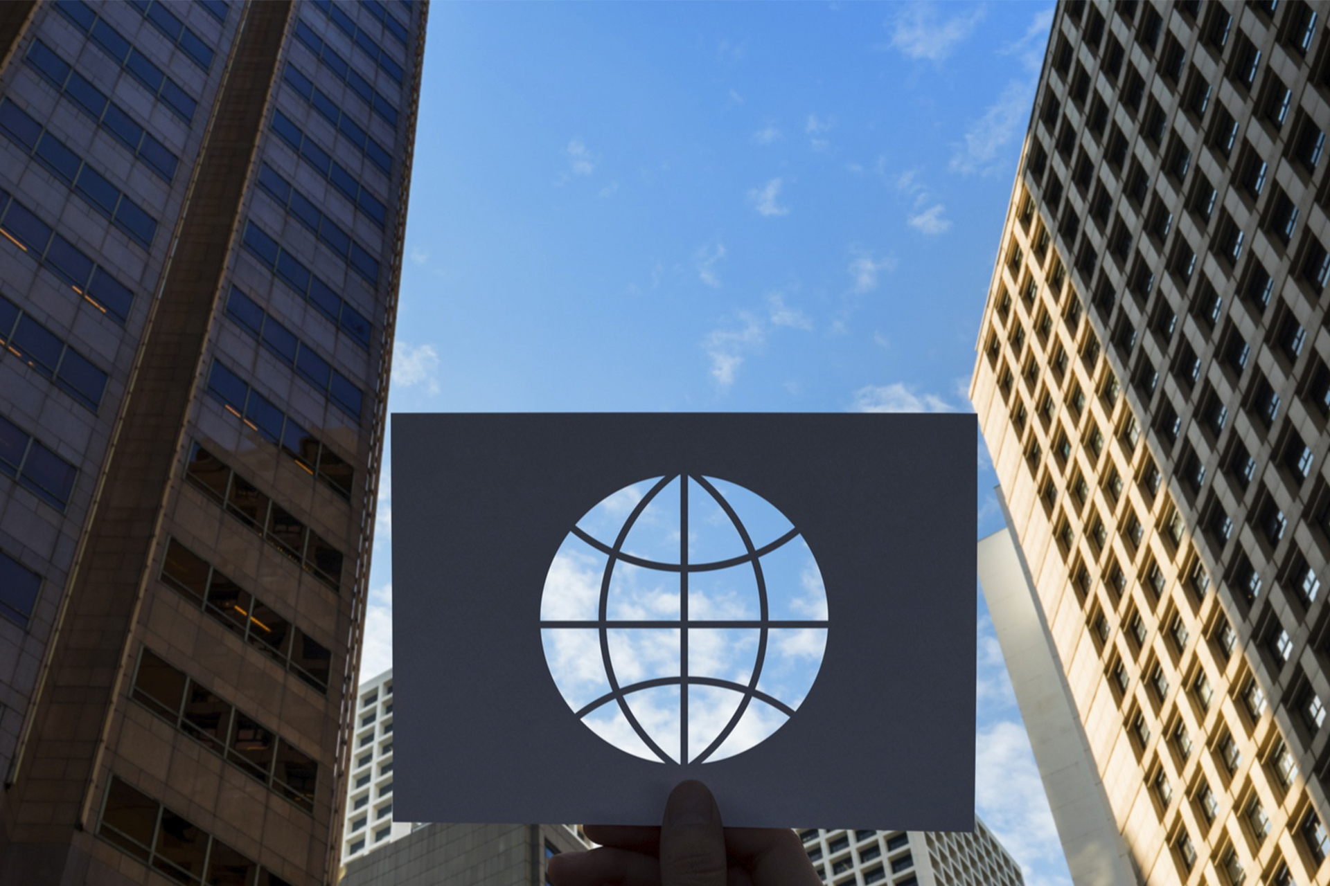 Global Presence: How White Label Providers Help Brokers Access International Markets